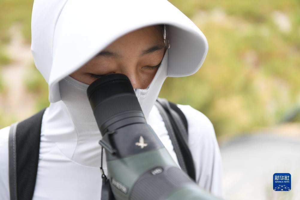 真人扎金花真
